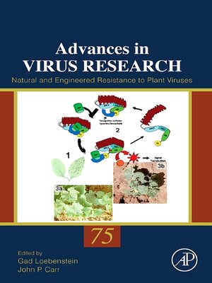 cover image of Natural and Engineered Resistance to Plant Viruses
